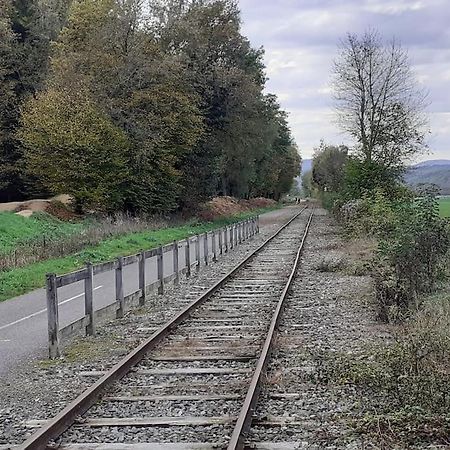 A L'Oree Du Bois "Les Hetres" Guewenheim Bagian luar foto