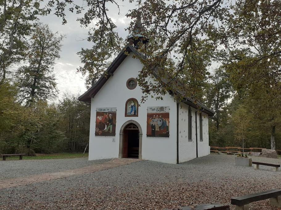 A L'Oree Du Bois "Les Hetres" Guewenheim Bagian luar foto